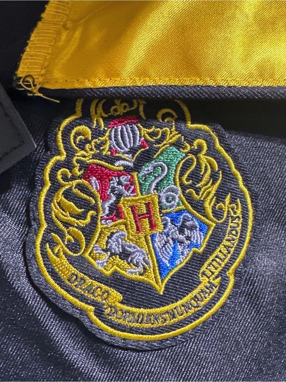 Target Kids Harry Potter Hogwarts Robe Costume with Gold Hood Trim